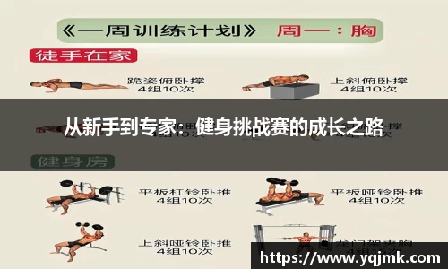 从新手到专家：健身挑战赛的成长之路